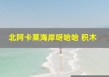 北阿卡莱海岸呀哈哈 积木